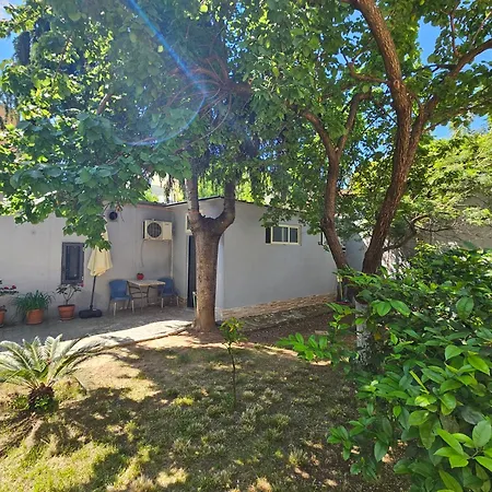 Near Pazari Ri Tirana